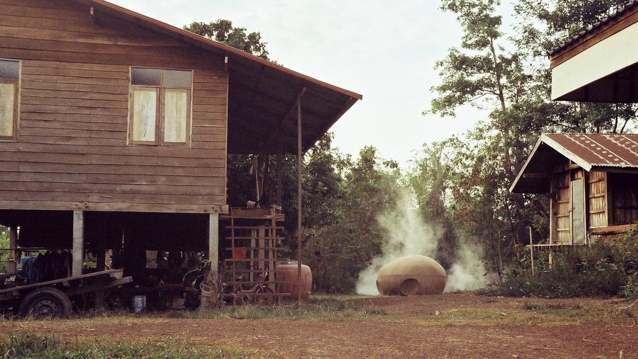 A Letter to Uncle Boonmee backdrop