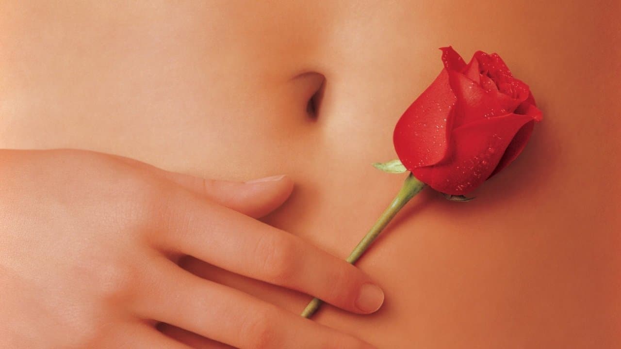 American Beauty backdrop