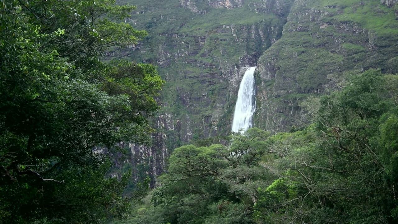 Os Naturalistas: Saint-Hilaire e a Serra da Canastra backdrop