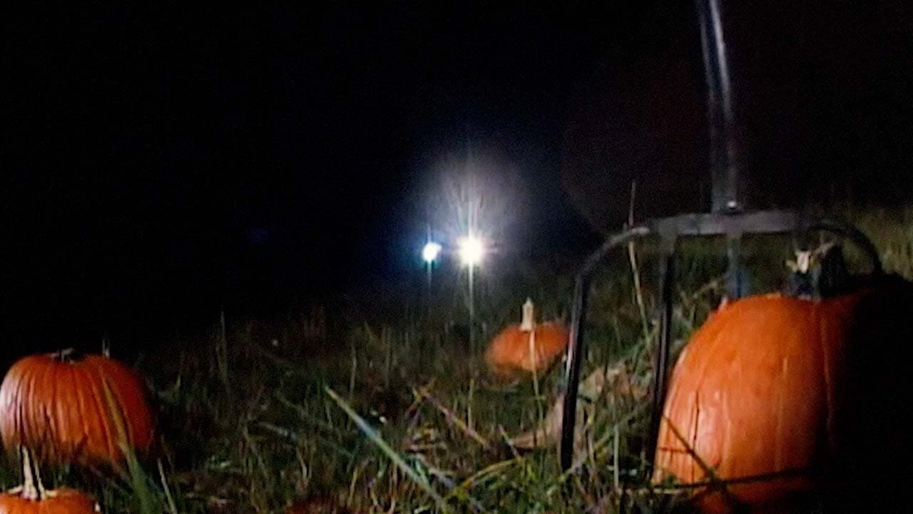 Revenge of the Great Pumpkin backdrop