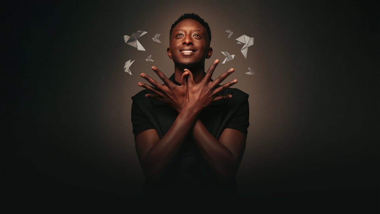 Ahmed Sylla : Origami backdrop