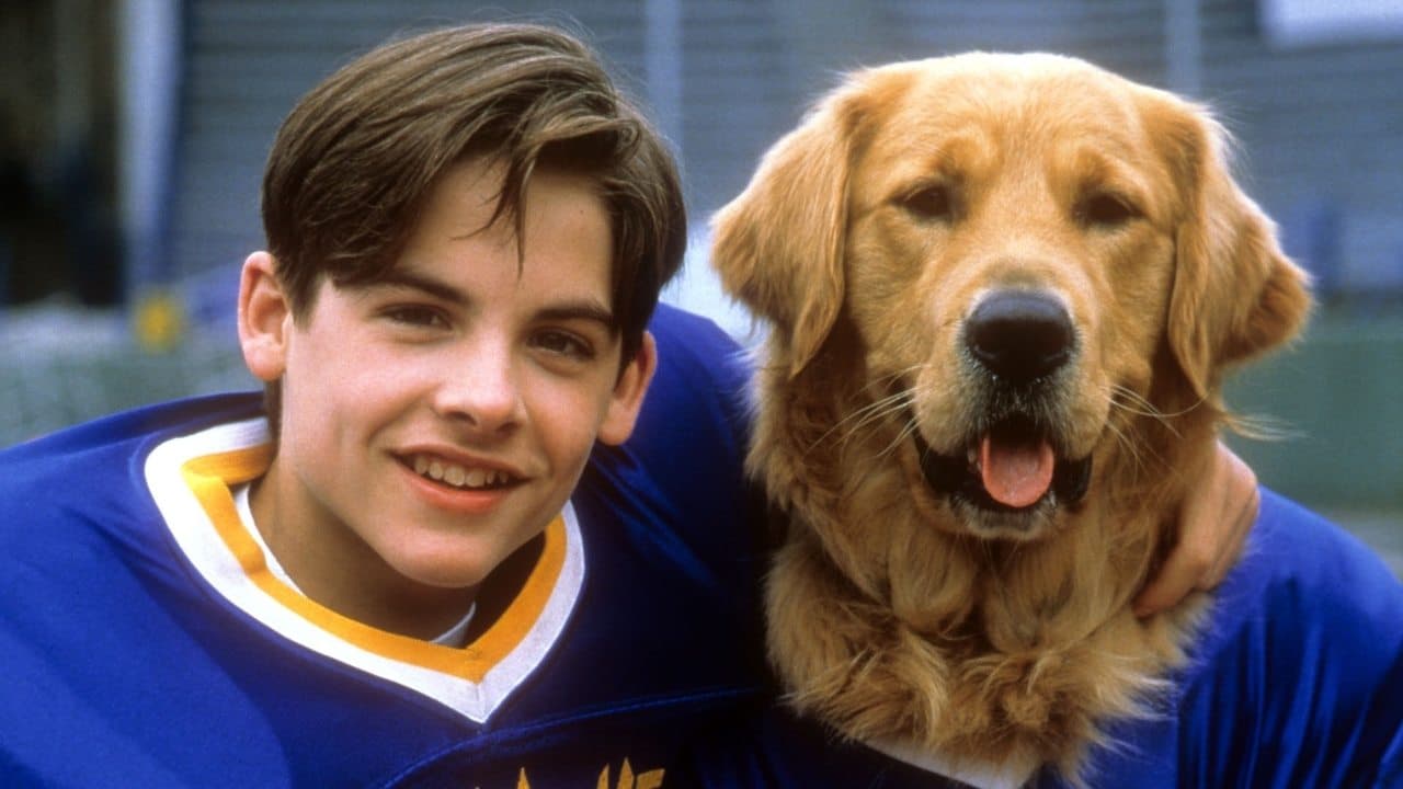 Air Bud: Golden Receiver backdrop