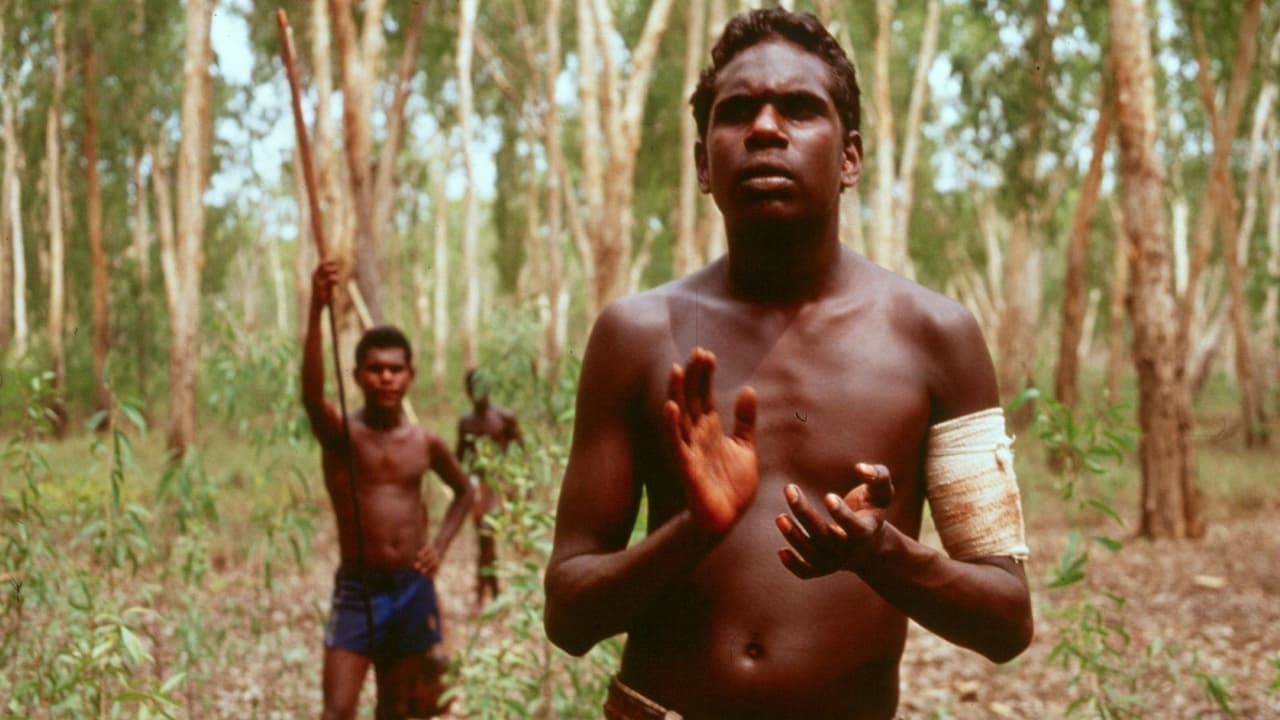 Yolngu Boy backdrop