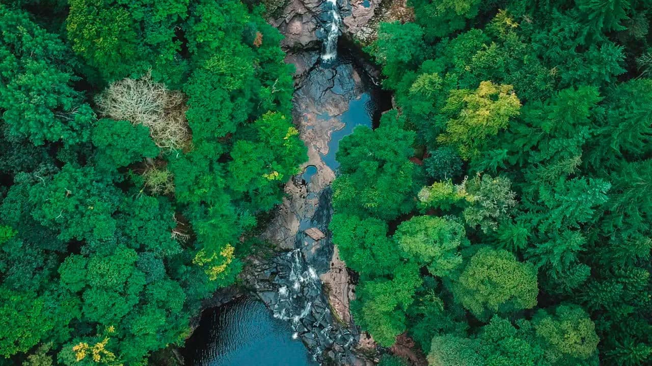 O Assassino do Rio Green: Caça Ao Monstro backdrop