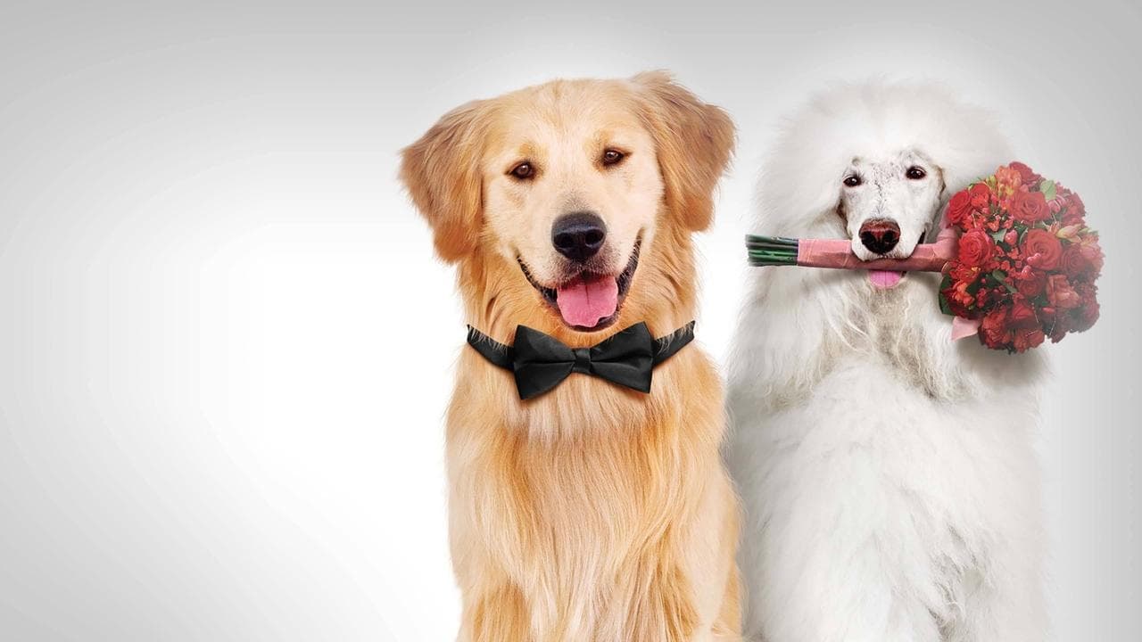 A Christmas Wedding Tail backdrop