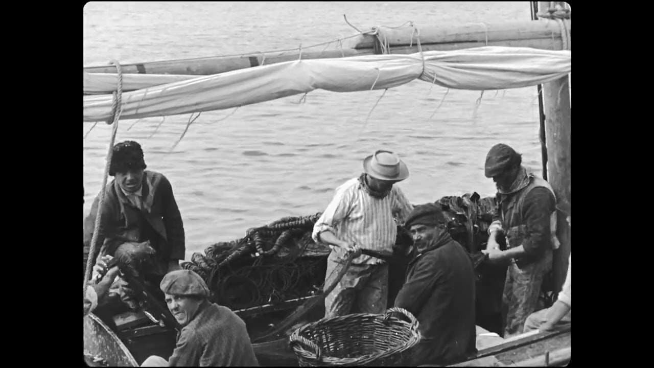 Sardine fishing backdrop