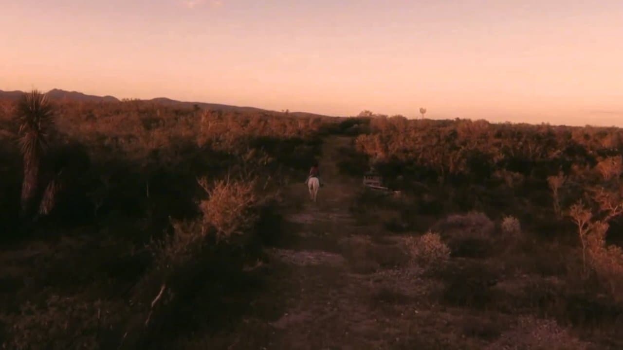 Vaqueros backdrop