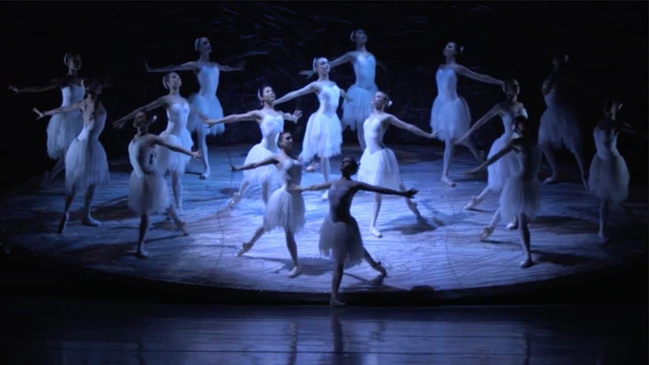 Graeme Murphy's Swan Lake backdrop