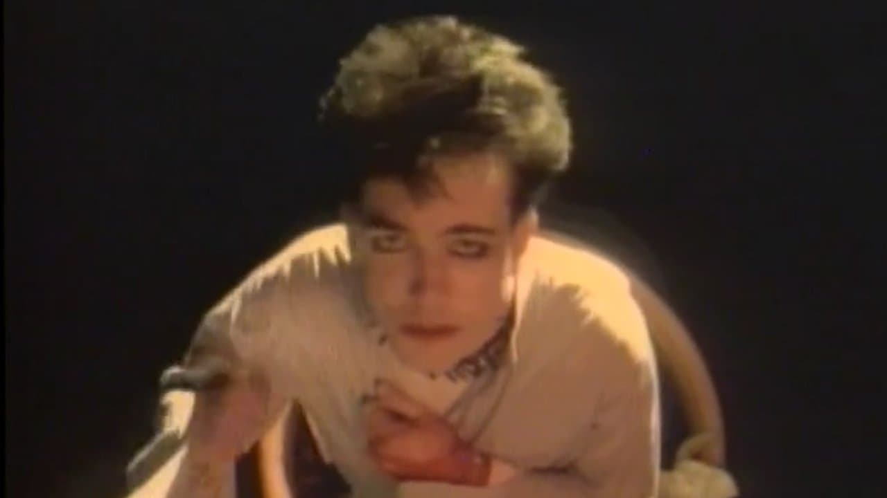 The Cure : Staring At The Sea - The Images backdrop