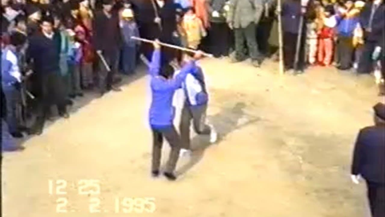 1995年2月2日民间举办迎喜花会 backdrop