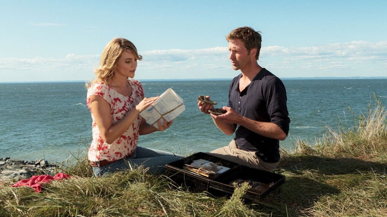 Katie Fforde - Leuchtturm mit Aussicht backdrop