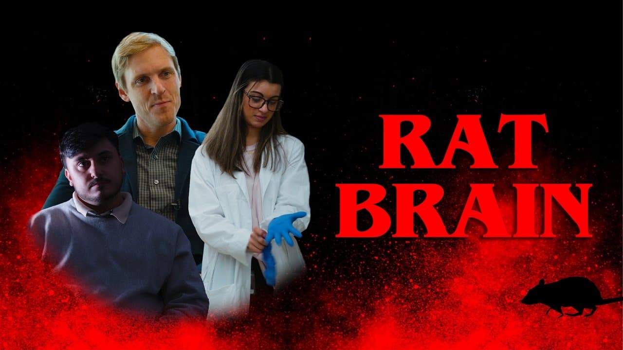 Rat Brain backdrop