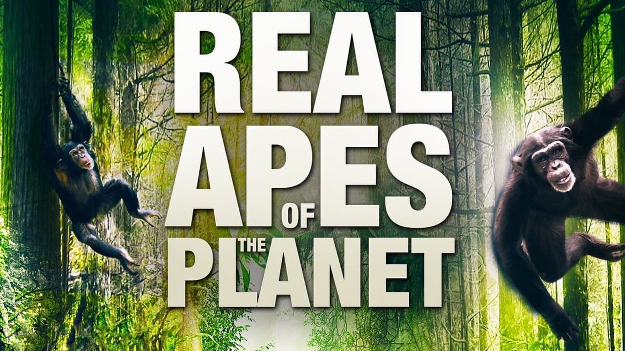 The Real Apes of the Planet backdrop
