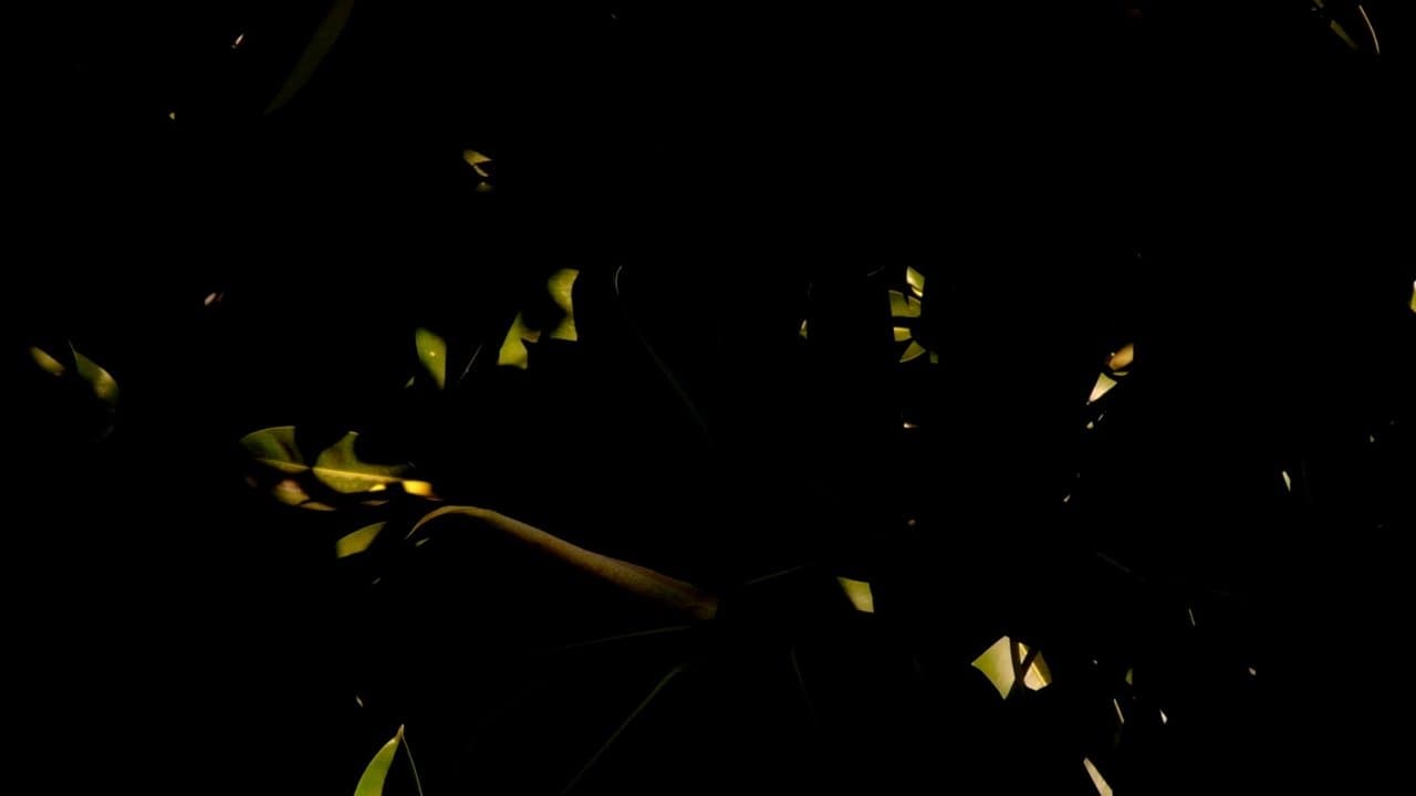 Perception backdrop