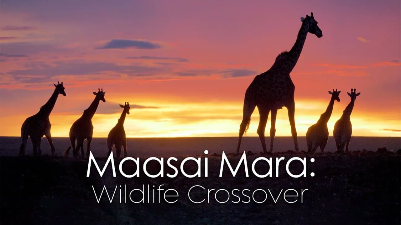 Masai Mara Wildlife Crossover backdrop