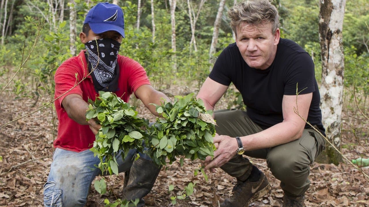 Gordon Ramsay on Cocaine backdrop