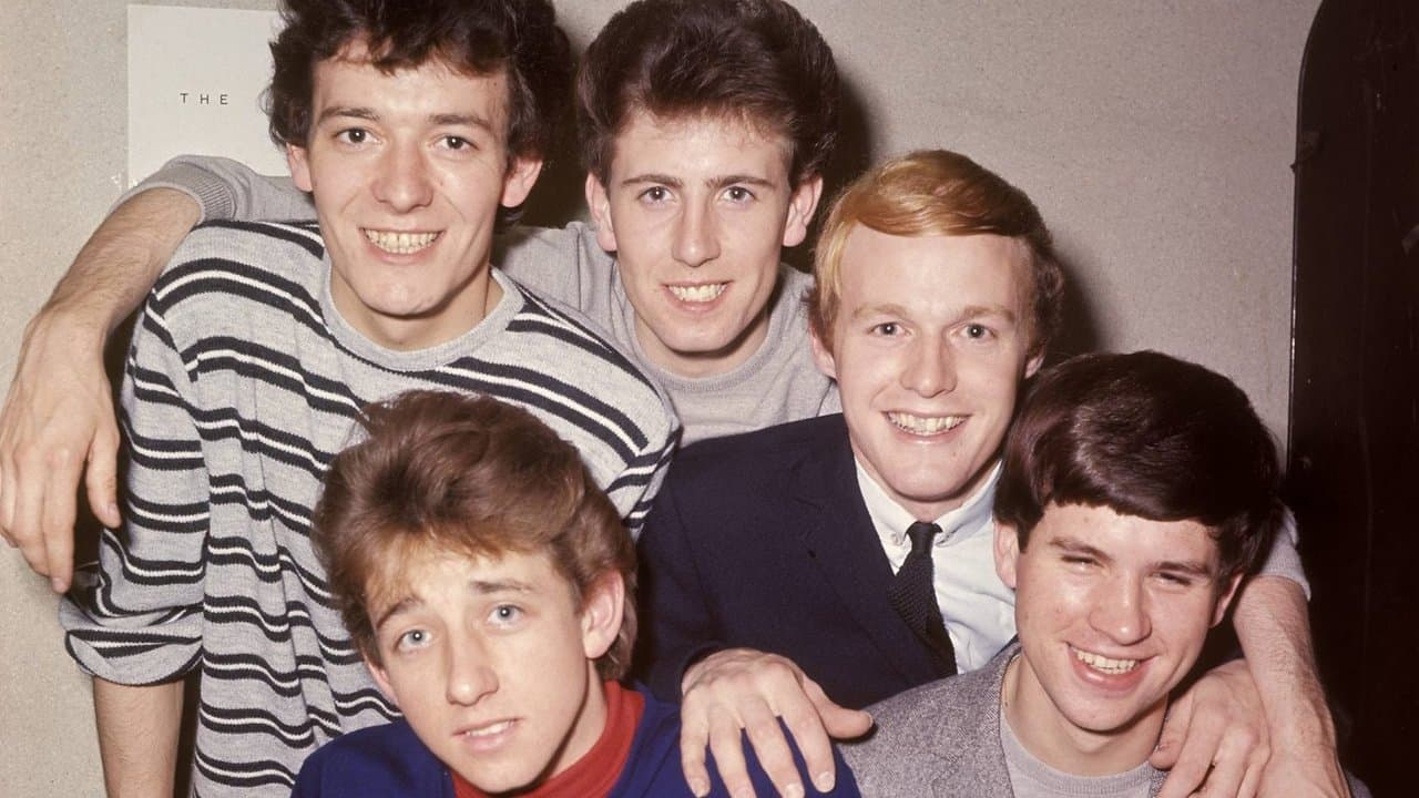 The Hollies: Look Through Any Window 1963-1975 backdrop