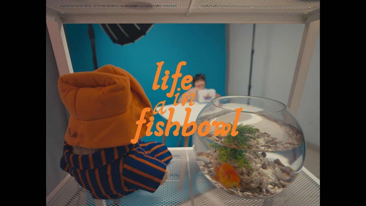 Life in a Fishbowl backdrop