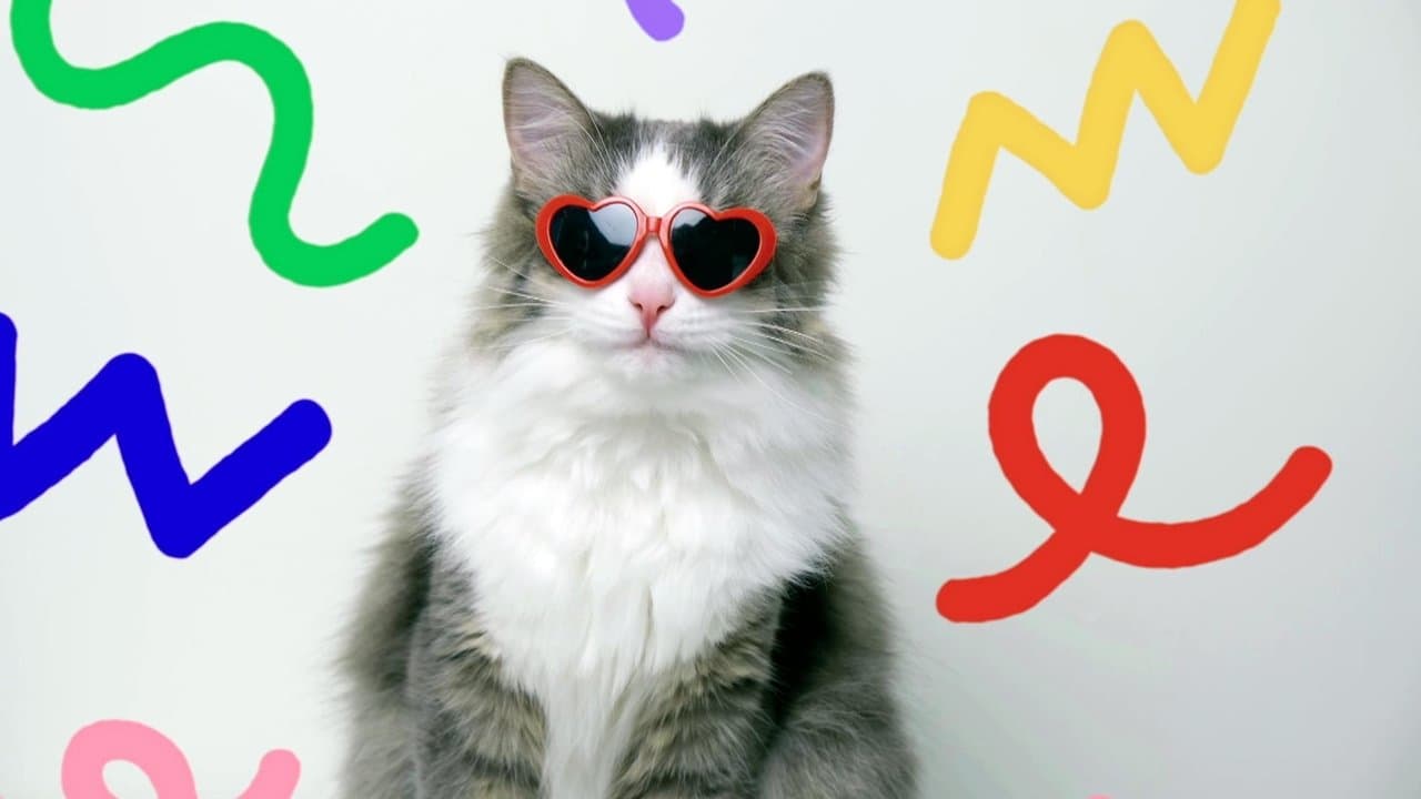 En thérapie avec mon chat backdrop
