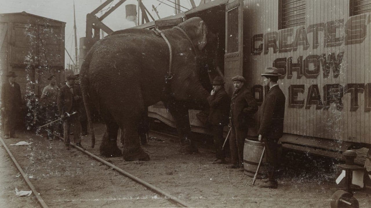 The Tragic Story of Fritz the Elephant backdrop