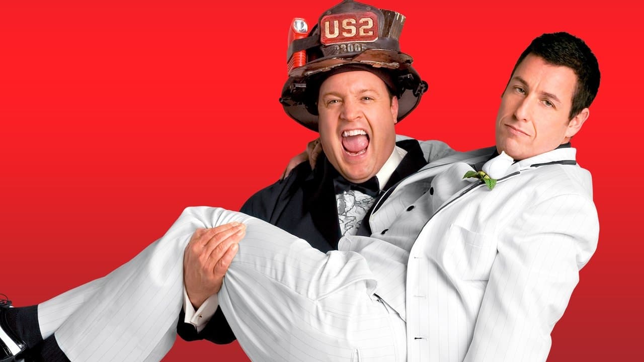 I Now Pronounce You Chuck & Larry backdrop