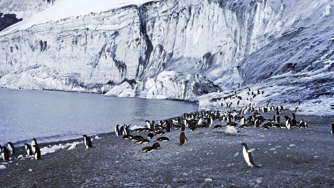 Antarctica: The Frozen Time backdrop