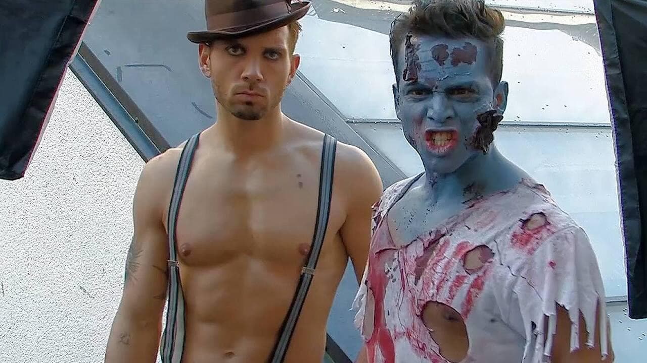 Housewife Alien vs. Gay Zombie backdrop