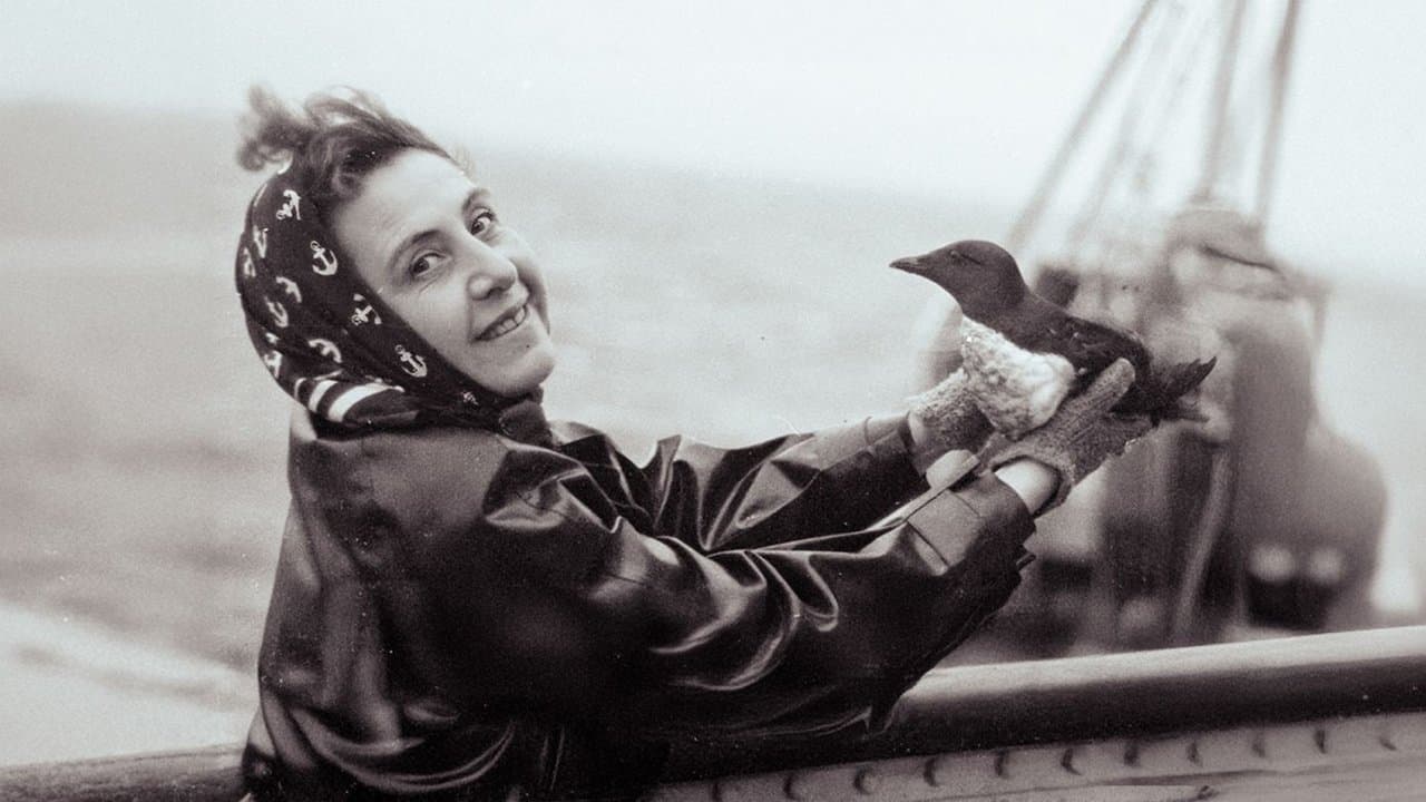 Anita Conti, l'appel du large backdrop
