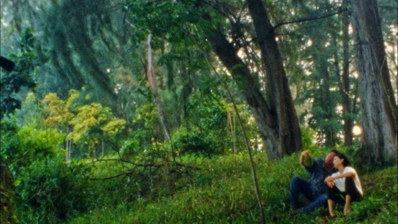 Durian, Durian backdrop