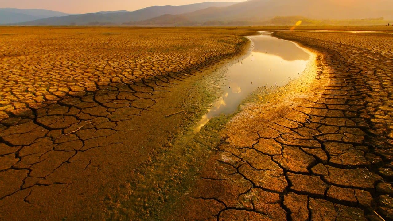 Parched backdrop