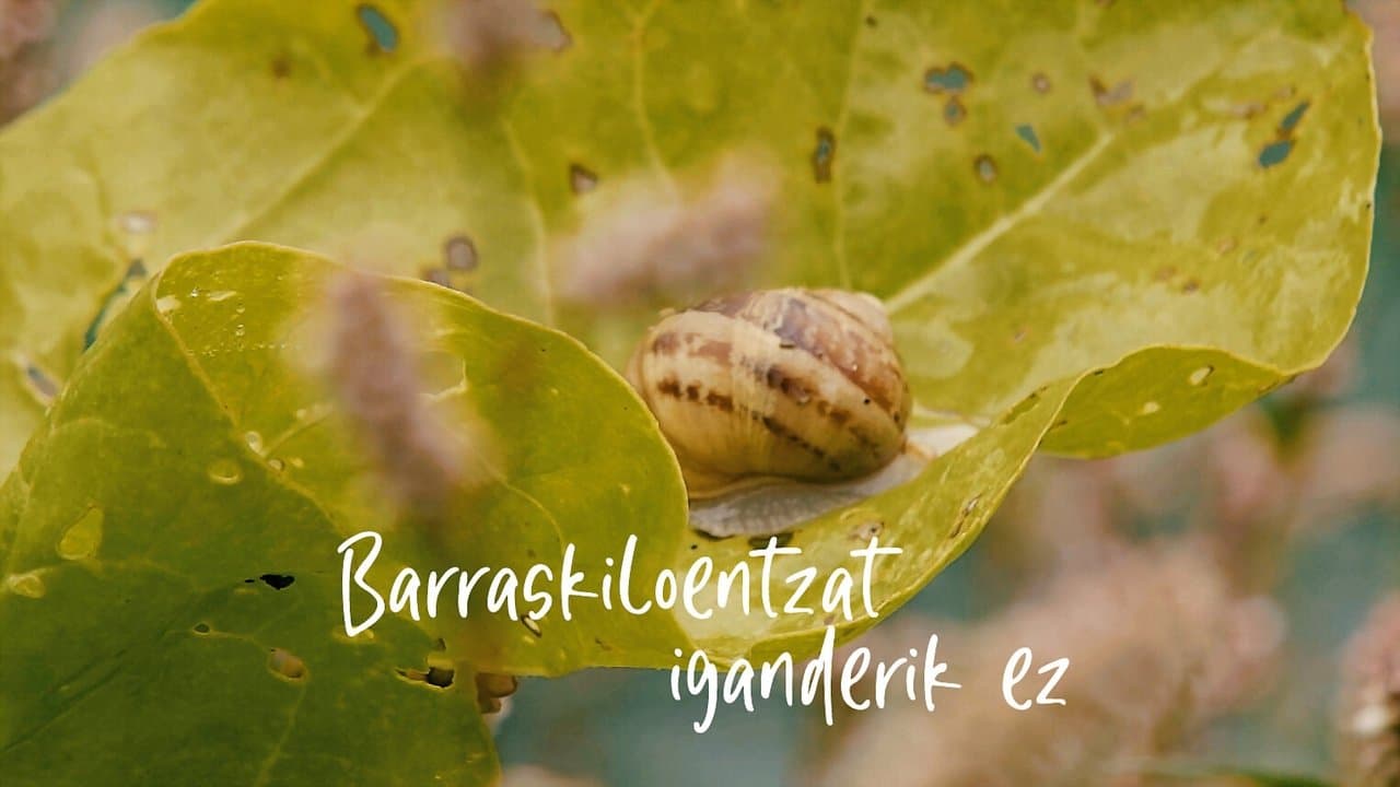 Barraskiloentzat iganderik ez backdrop