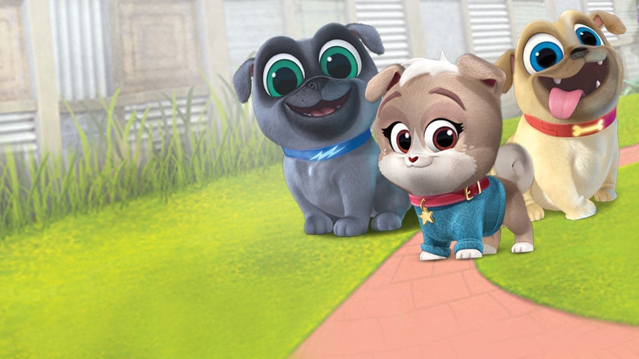 Playtime with Puppy Dog Pals backdrop