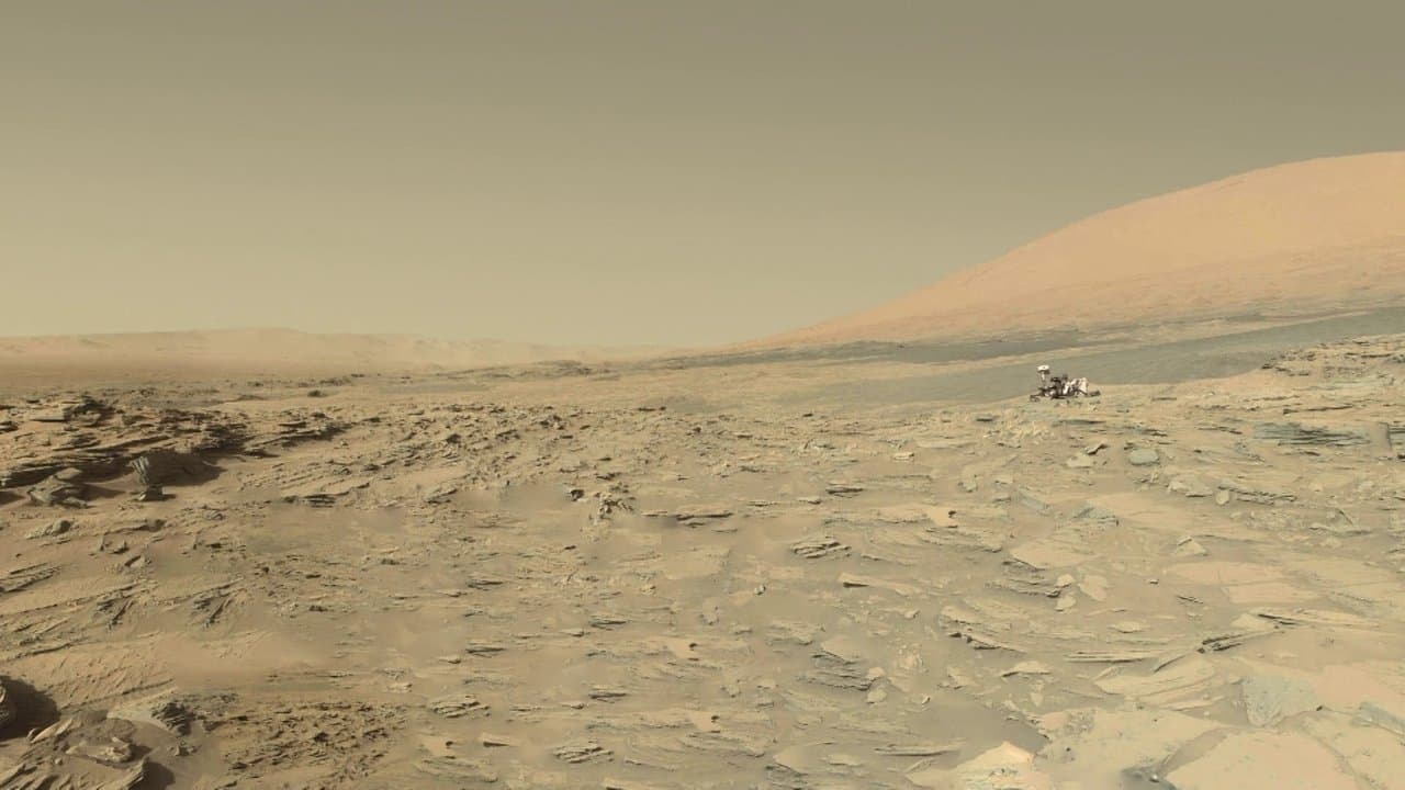 The Voyage of Curiosity backdrop