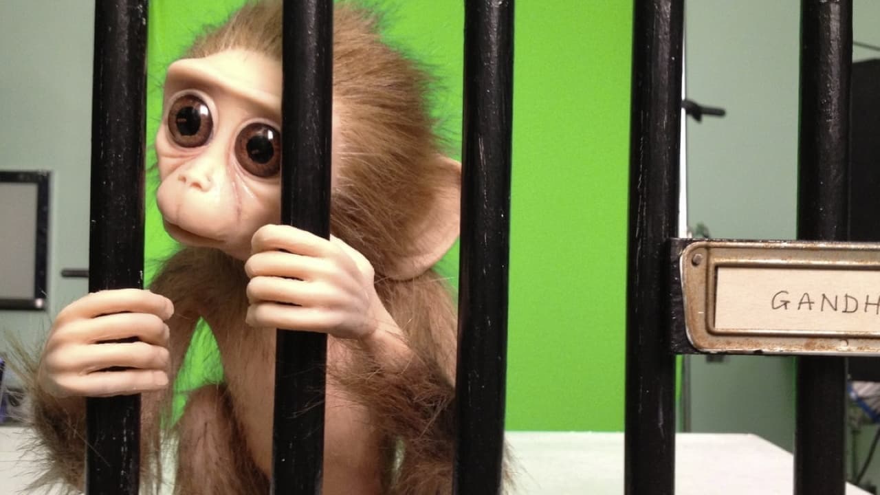 Monkey Love Experiments backdrop