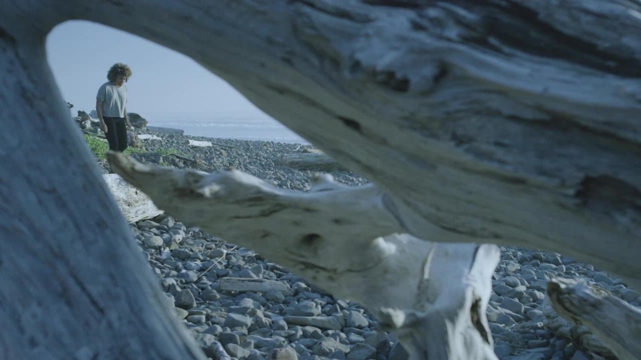 Seaside backdrop