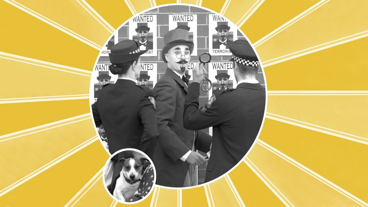 Dr. Plonk backdrop