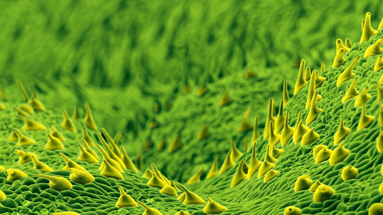 The Secret Genius of Plants backdrop
