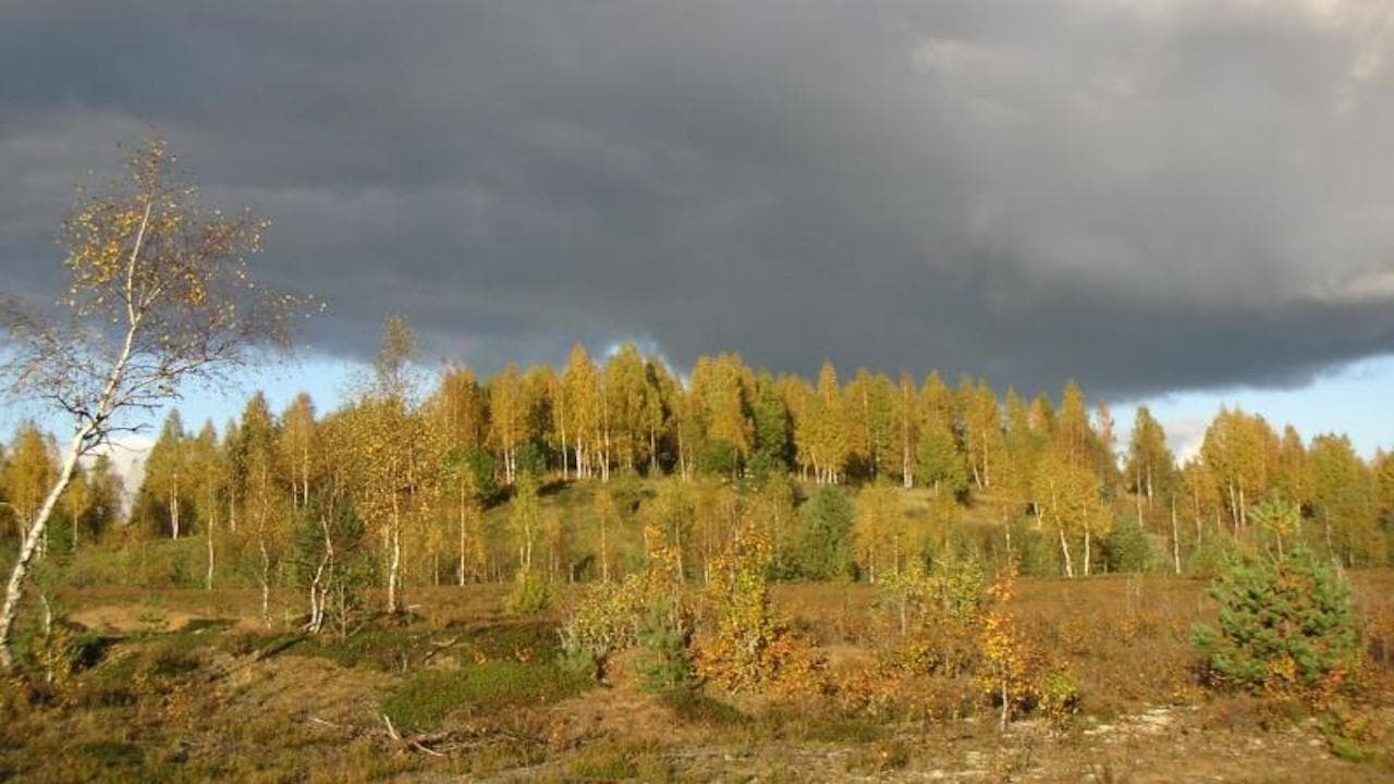 The Blue Hills backdrop