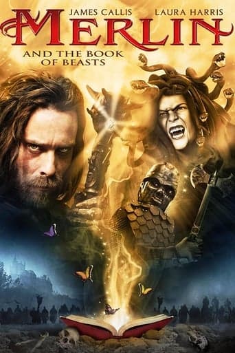 Merlin and the Book of Beasts poster - Find streaming availability