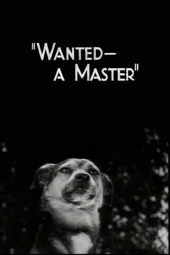 Wanted - A Master poster - Find streaming availability