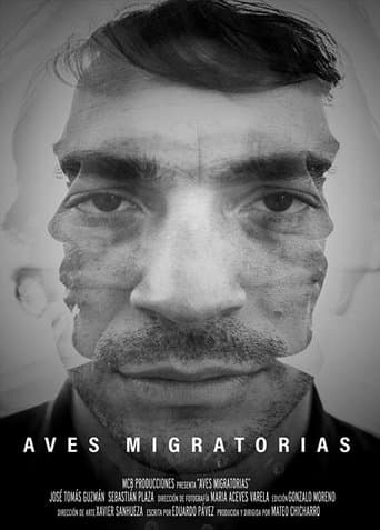 Migratory Birds poster - Find streaming availability