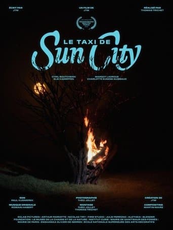 Le taxi de Sun City poster - Find streaming availability