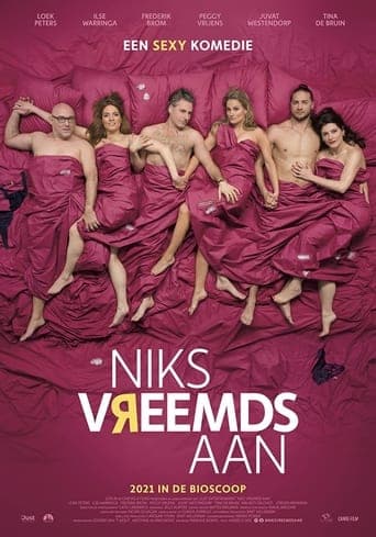 Niks vreemds aan poster - Find streaming availability