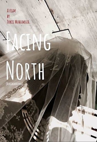 Facing North poster - Find streaming availability