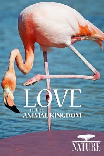 Nature: Love in the Animal Kingdom poster - Find streaming availability