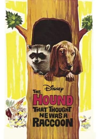 The Hound That Thought He Was a Raccoon poster - Find streaming availability