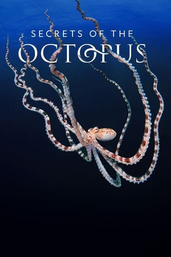 Secrets of the Octopus poster - Find streaming availability