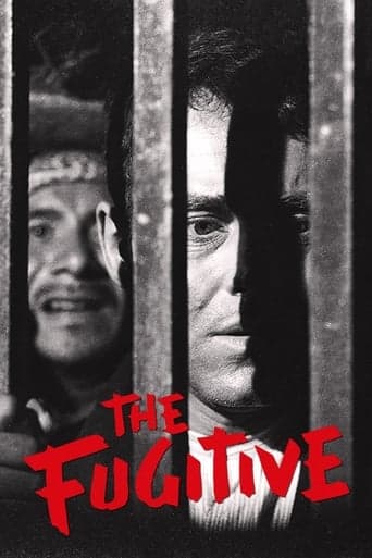 The Fugitive poster - Find streaming availability