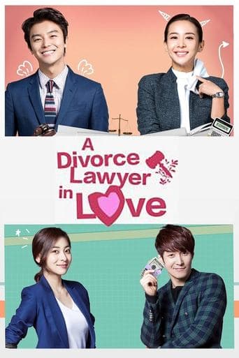 Divorce Lawyer in Love poster - Find streaming availability