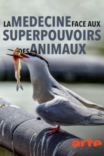 Wild Medicine: Animals' Superpowers poster - Find streaming availability